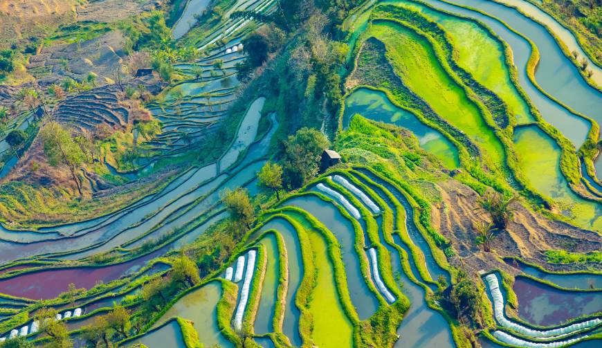 走进鹿寨县TVC拍摄：解锁本地化场景与创意镜头的完美融合